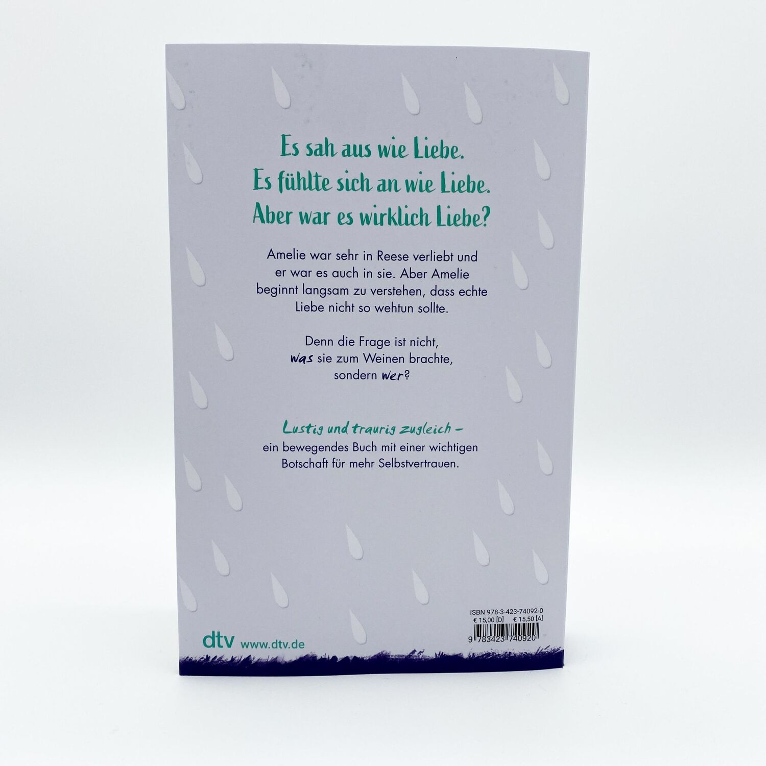 Bild: 9783423740920 | Orte, an denen ich geweint habe (wegen dir) | Holly Bourne | Buch