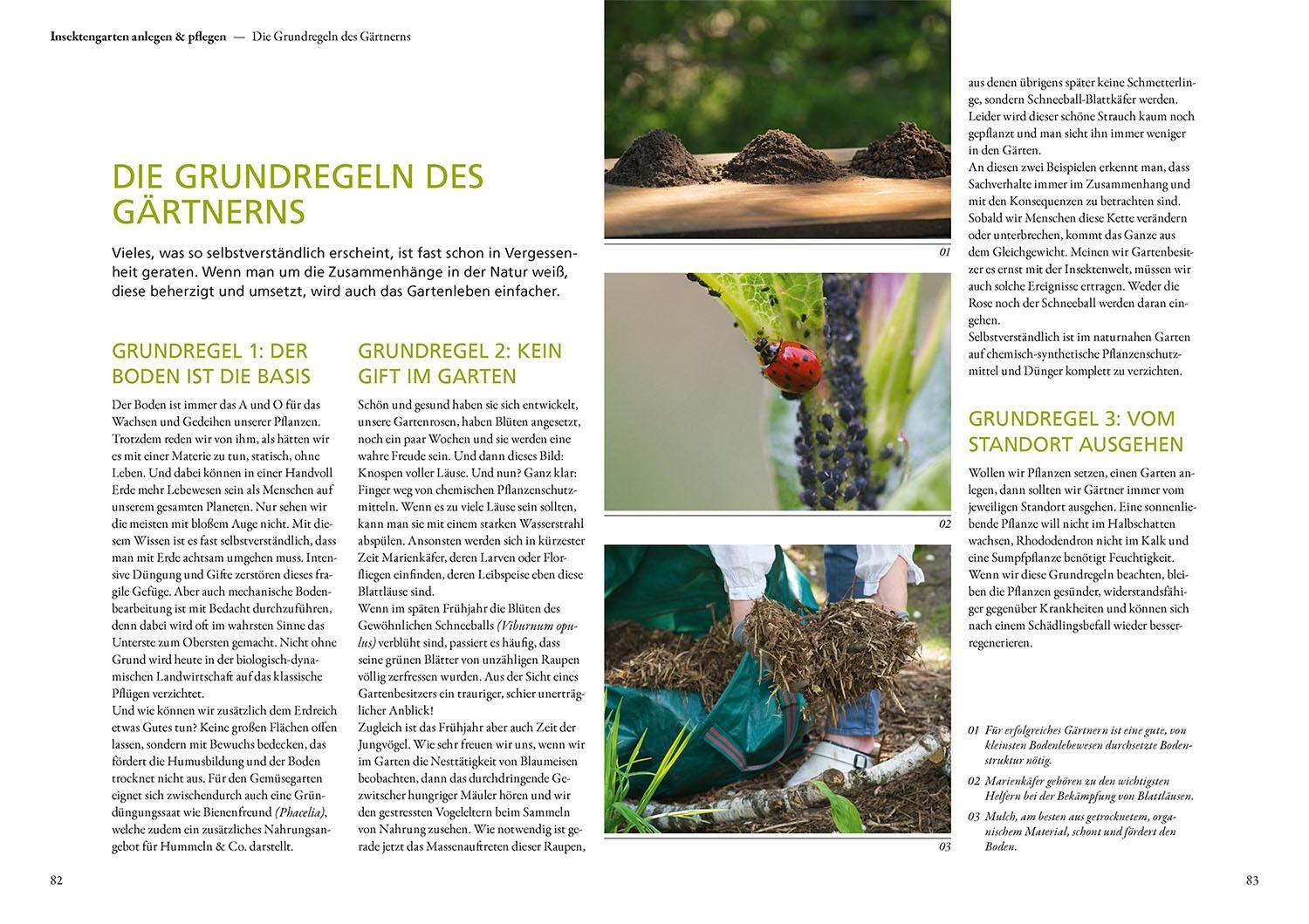 Bild: 9783440170595 | Mein Garten summt! | Simone Kern | Taschenbuch | 128 S. | Deutsch
