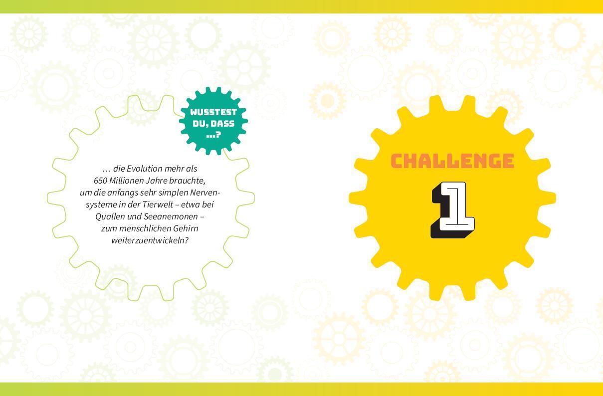 Bild: 9783625194552 | Die ultimative Rätsel-Challenge Gedächtnistraining | Taschenbuch