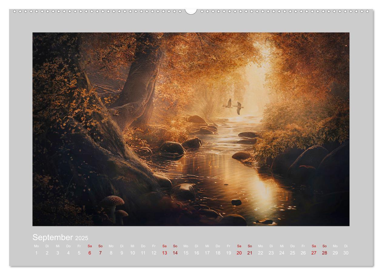 Bild: 9783383912801 | Wald der Märchen (Wandkalender 2025 DIN A2 quer), CALVENDO...