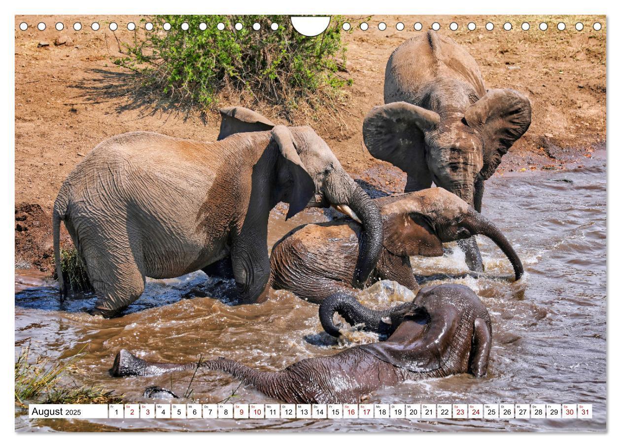 Bild: 9783435066124 | Elefanten-Traum - Herzenssache Afrika (Wandkalender 2025 DIN A4...