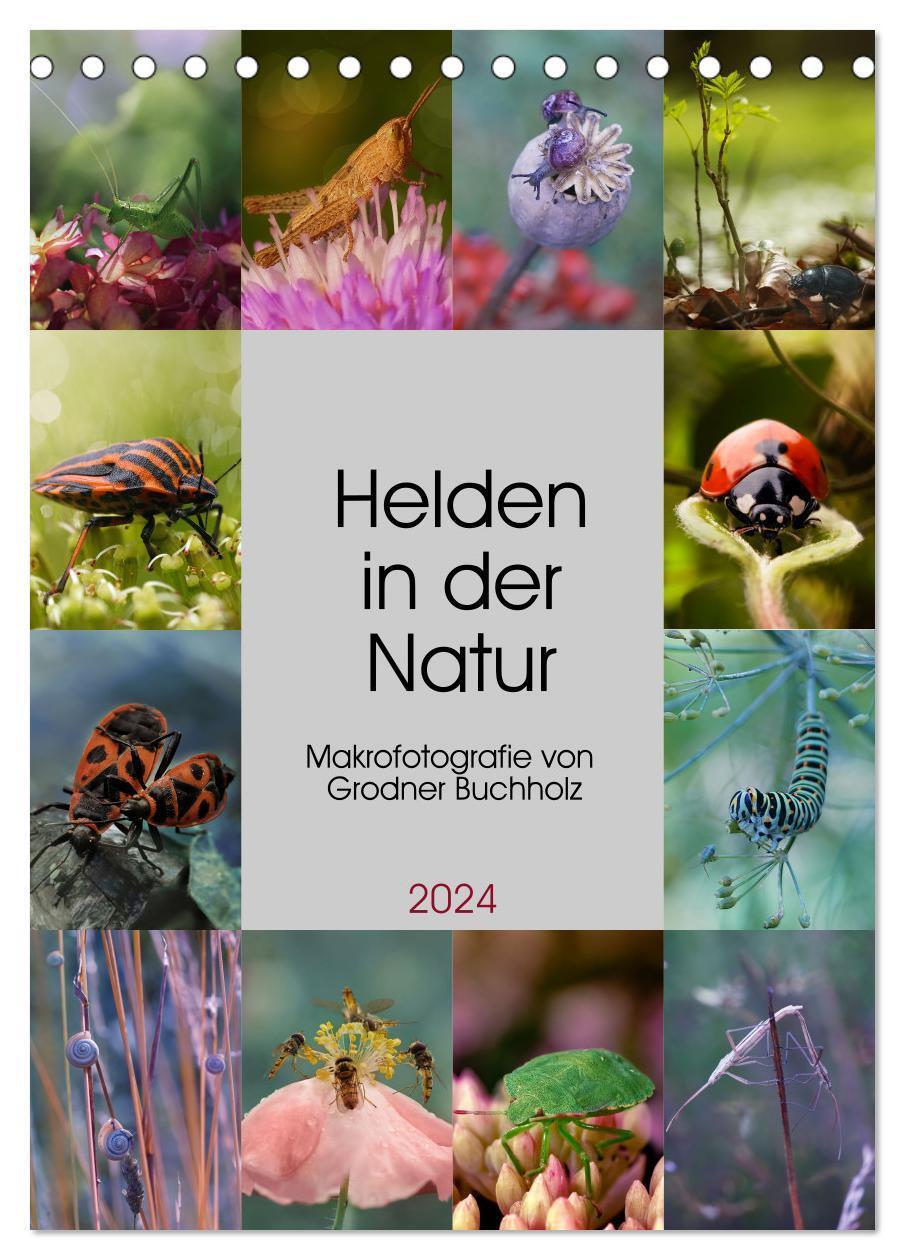 Cover: 9783383734588 | Helden in der Natur (Tischkalender 2024 DIN A5 hoch), CALVENDO...