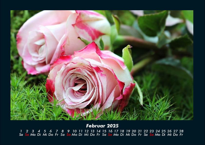 Bild: 9783755970637 | Rosen-Kalender 2025 Fotokalender DIN A4 | Tobias Becker | Kalender