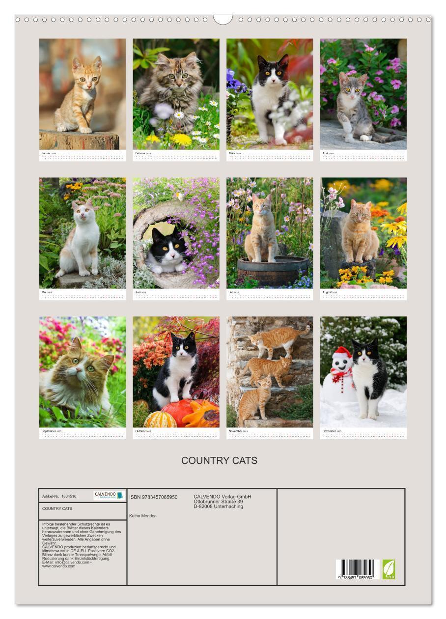 Bild: 9783457085950 | COUNTRY CATS (Wandkalender 2025 DIN A2 hoch), CALVENDO Monatskalender