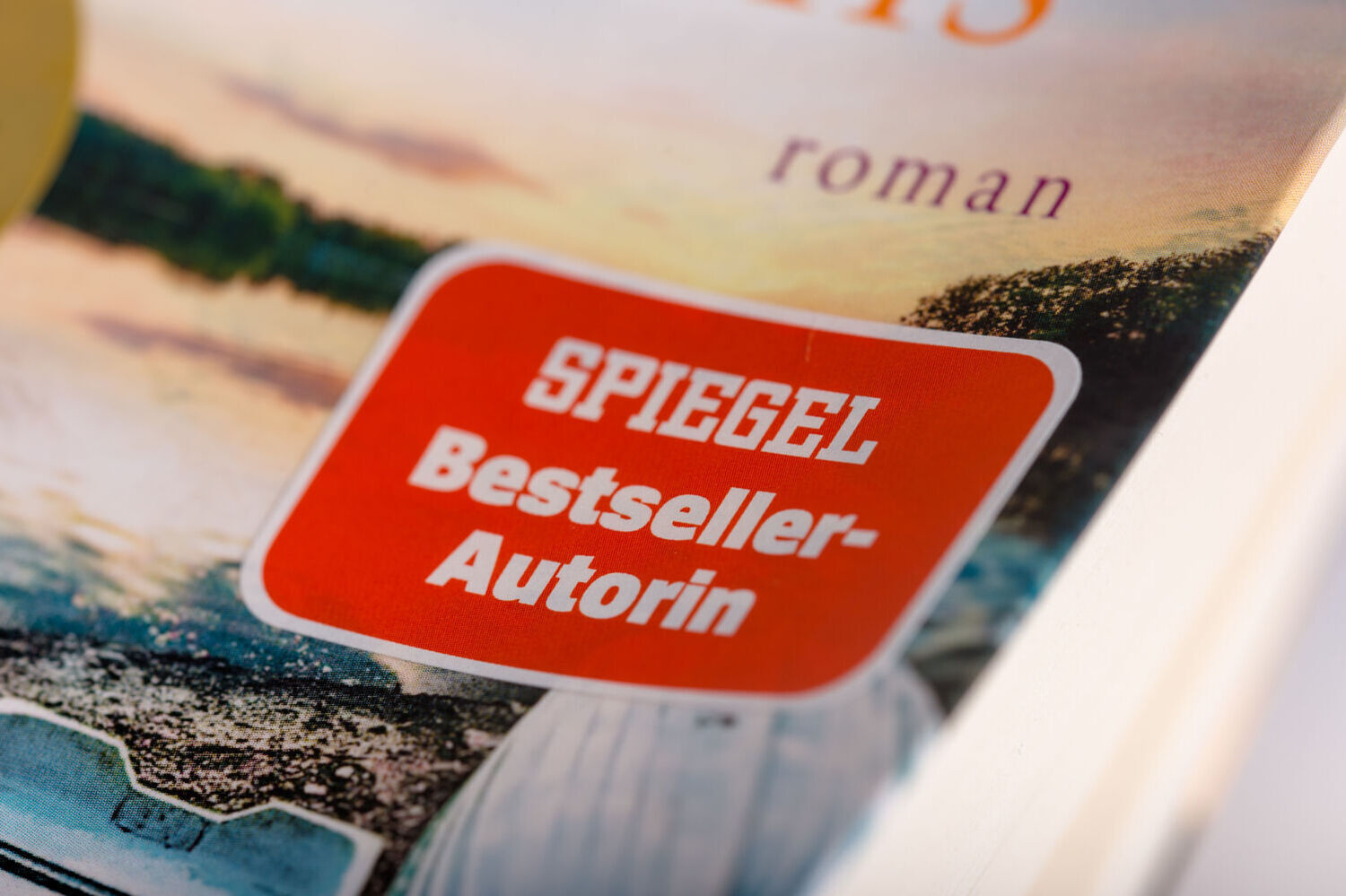 Bild: 9783453360853 | Strömung des Lebens | Roman | Nora Roberts | Taschenbuch | Deutsch