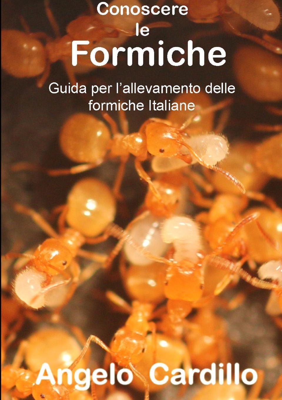 Cover: 9780244822385 | CONOSCERE LE FORMICHE | Angelo Cardillo | Taschenbuch | Italienisch