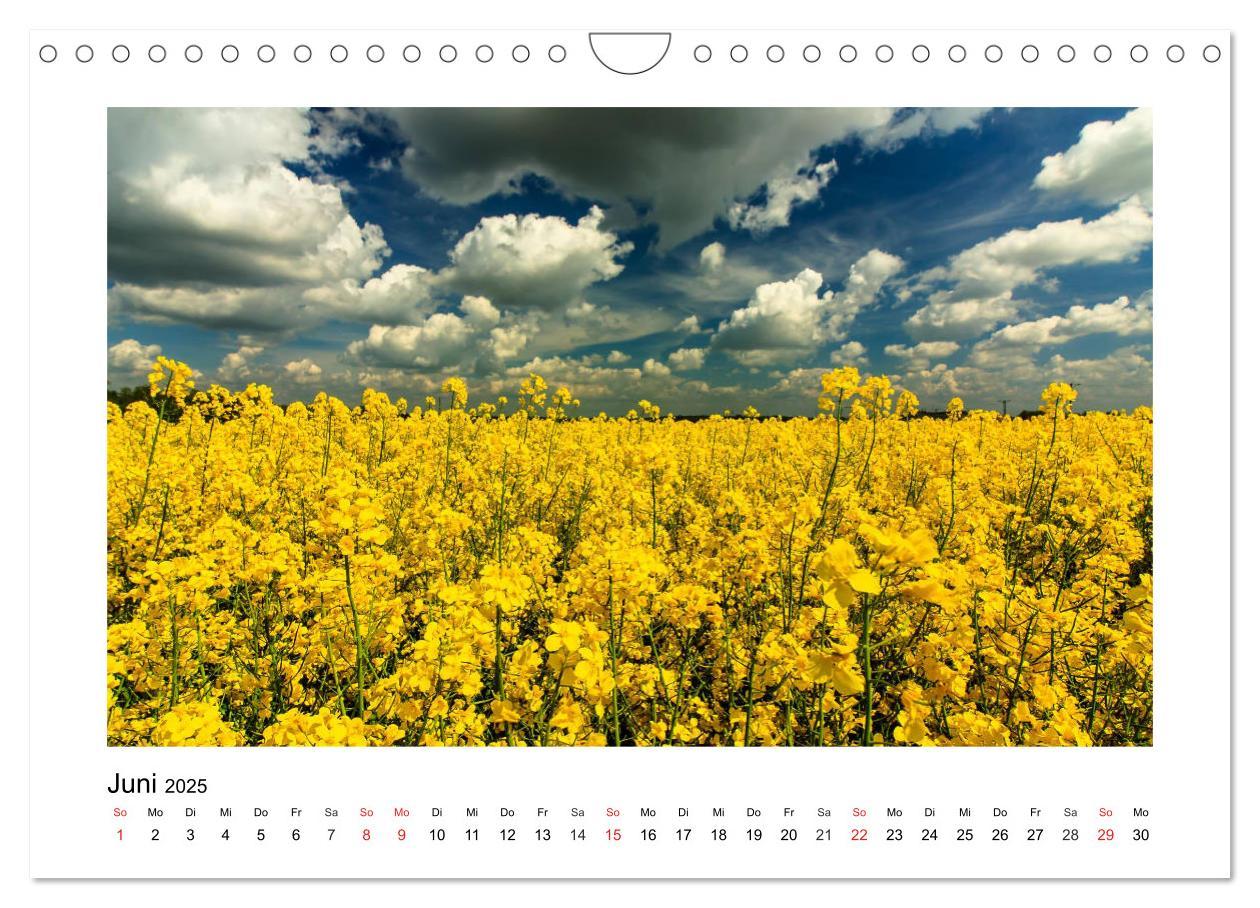 Bild: 9783435194742 | Eindrücke aus der Natur (Wandkalender 2025 DIN A4 quer), CALVENDO...