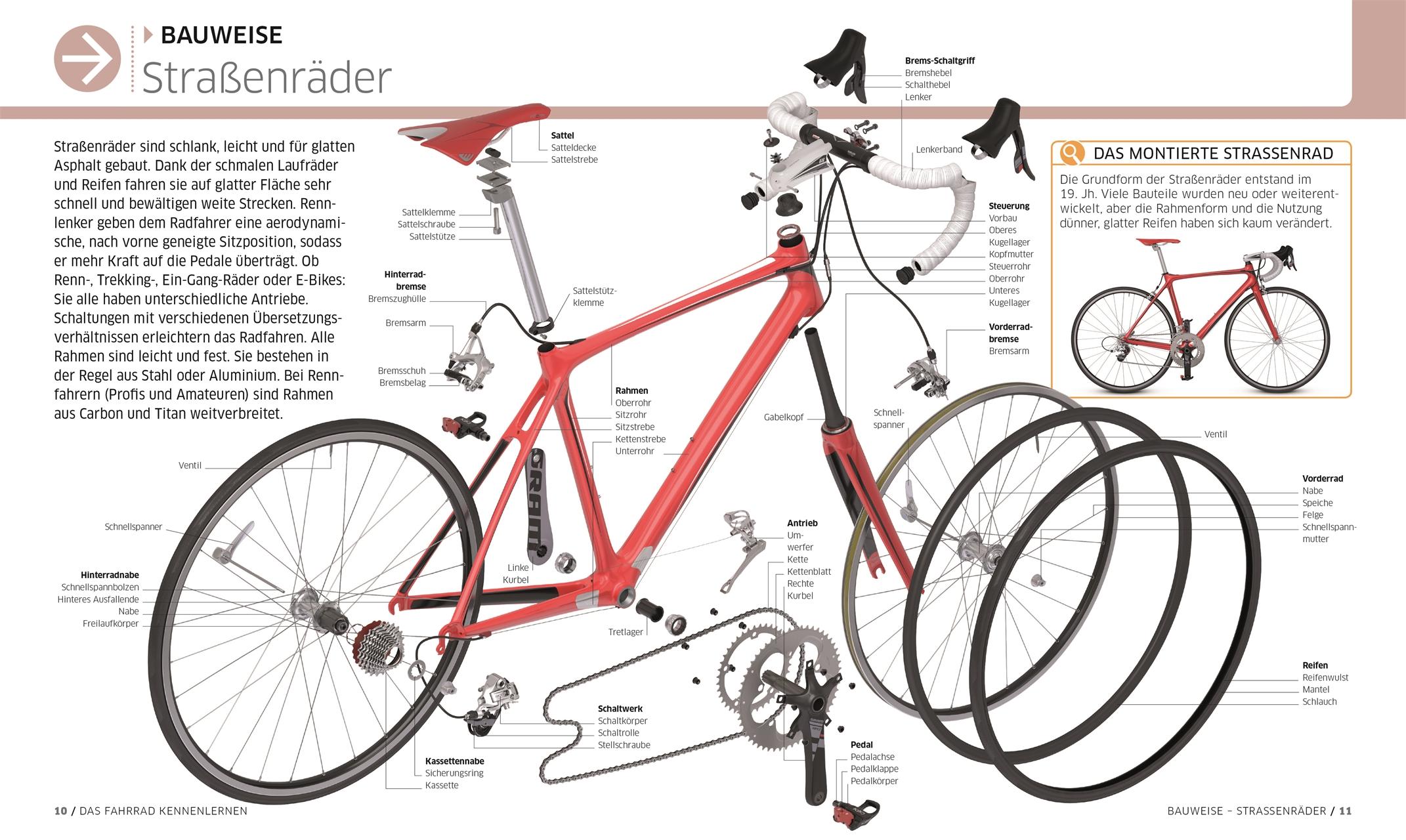 Bild: 9783831042180 | Das ultimative Fahrrad-Handbuch | Claire Beaumont (u. a.) | Buch