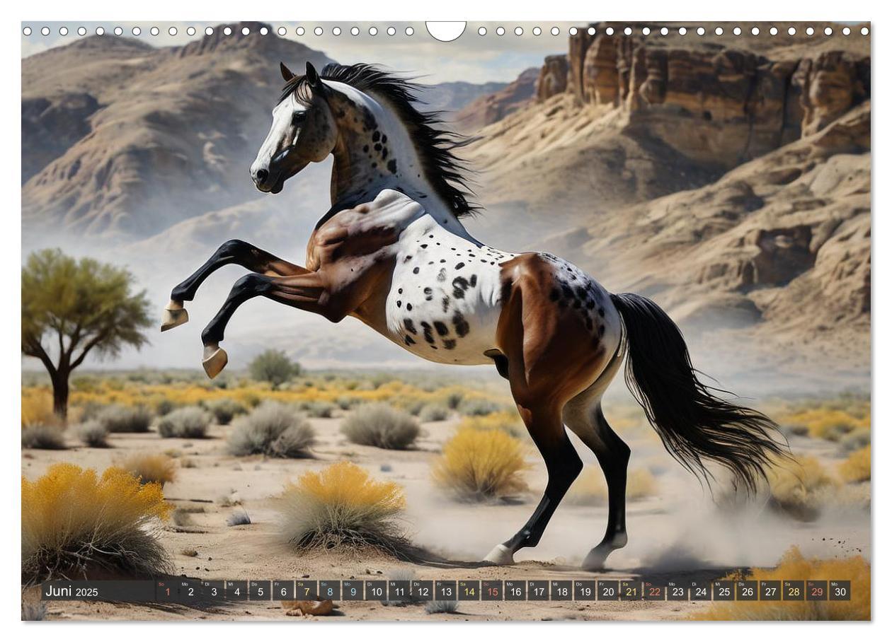 Bild: 9783457171004 | Schöne wilde Mustangs (Wandkalender 2025 DIN A3 quer), CALVENDO...