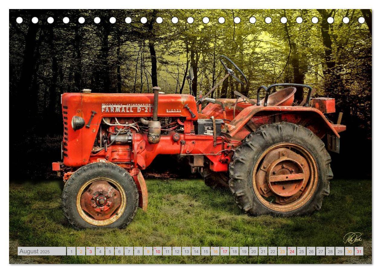 Bild: 9783435606672 | Oldtimer Schätze. Ein Traktoren-Kalender (Tischkalender 2025 DIN A5...