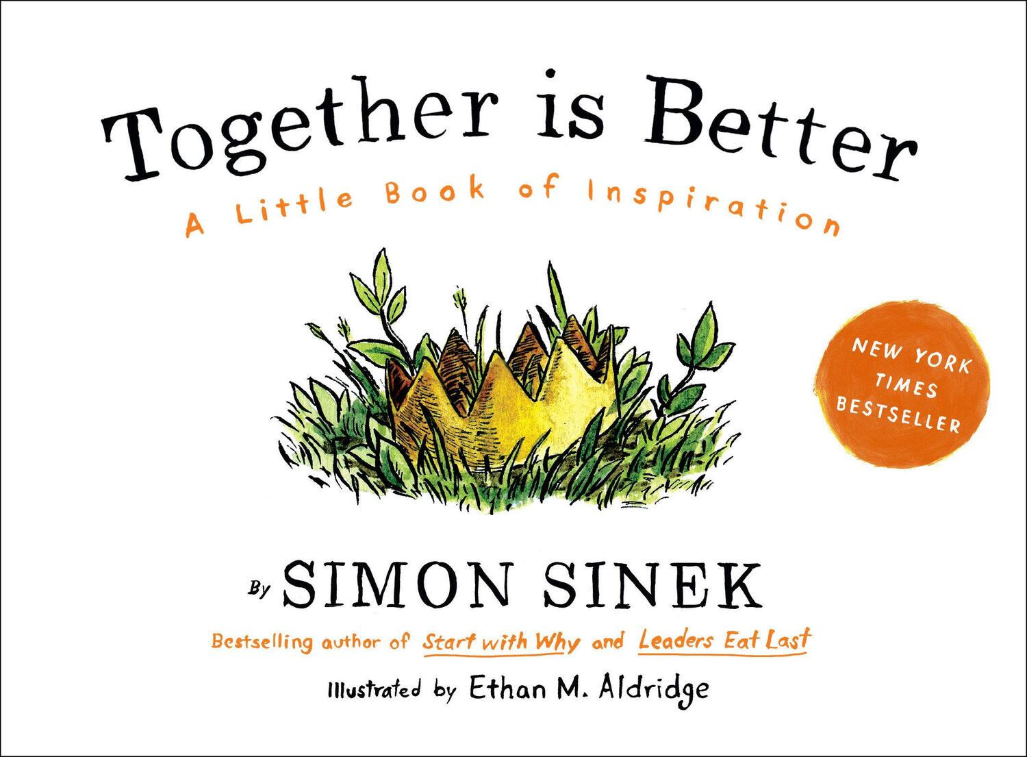 Cover: 9781591847854 | Together is Better | A Little Book of Inspiration | Simon Sinek | Buch