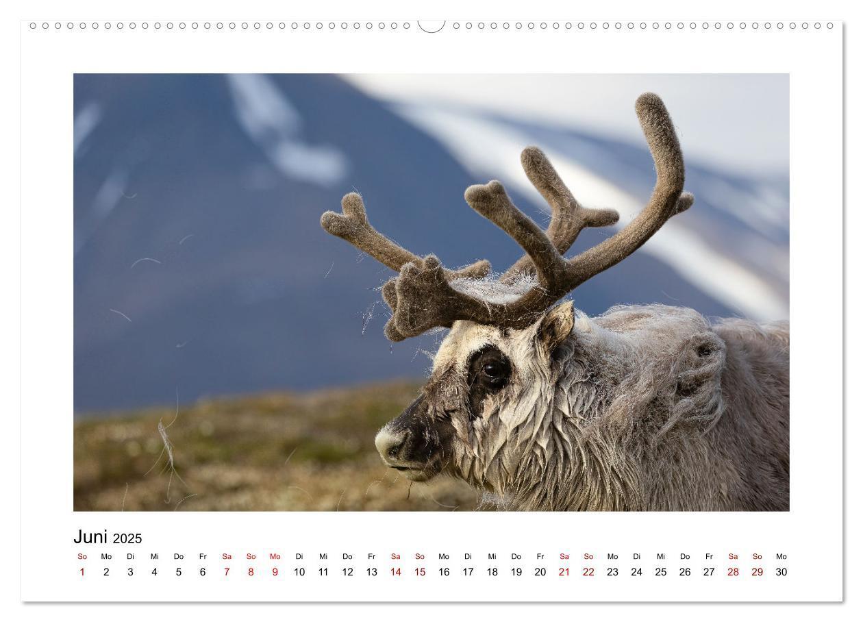 Bild: 9783383885167 | Spitzbergen und der Polarkreis (hochwertiger Premium Wandkalender...