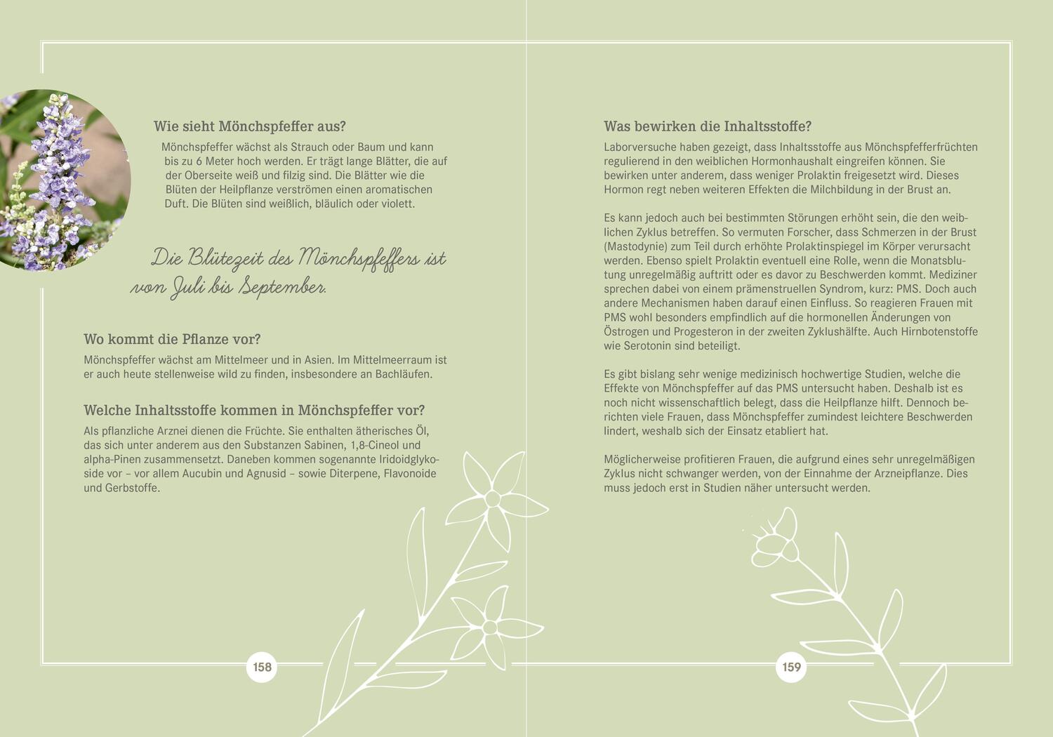 Bild: 9783927216556 | Apotheken Umschau: Heilpflanzen | Hans Haltmeier (u. a.) | Buch | 2020