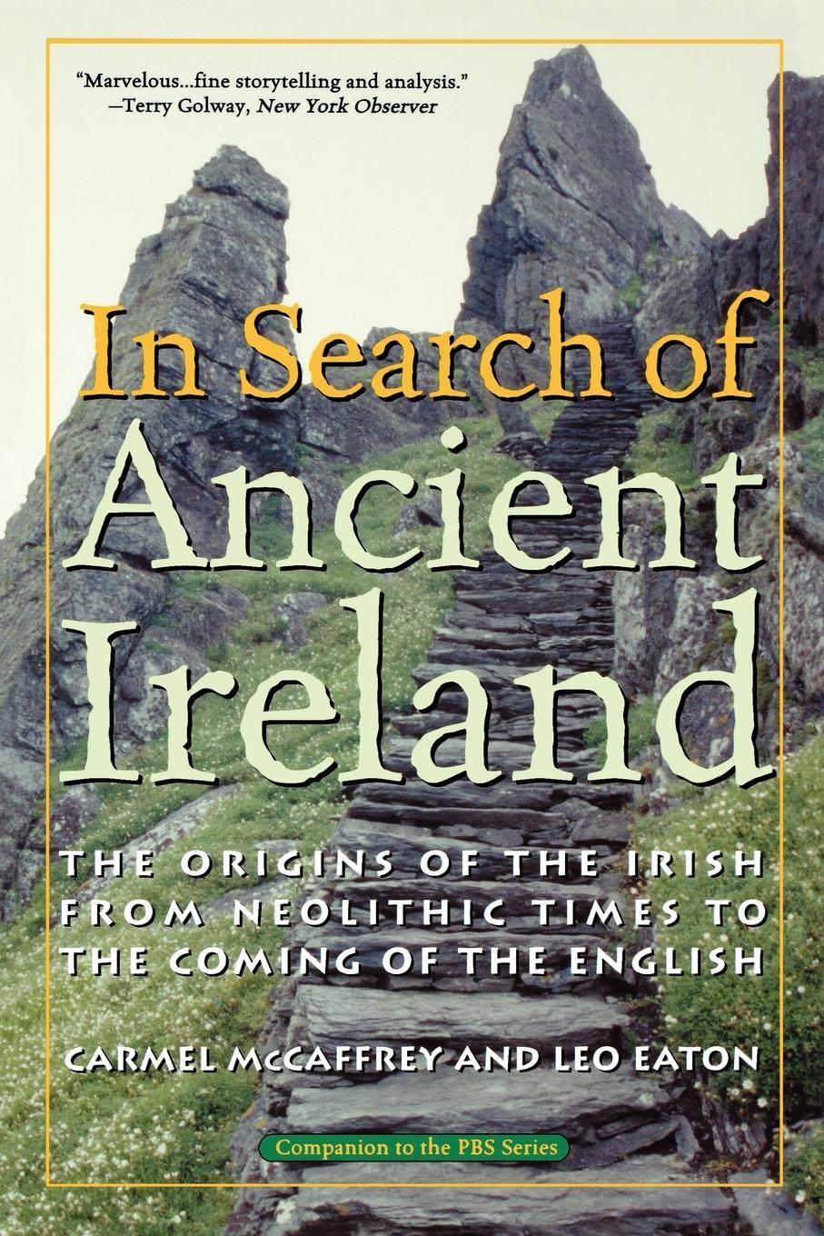 Cover: 9781566635257 | In Search of Ancient Ireland | Carmel McCaffrey (u. a.) | Taschenbuch