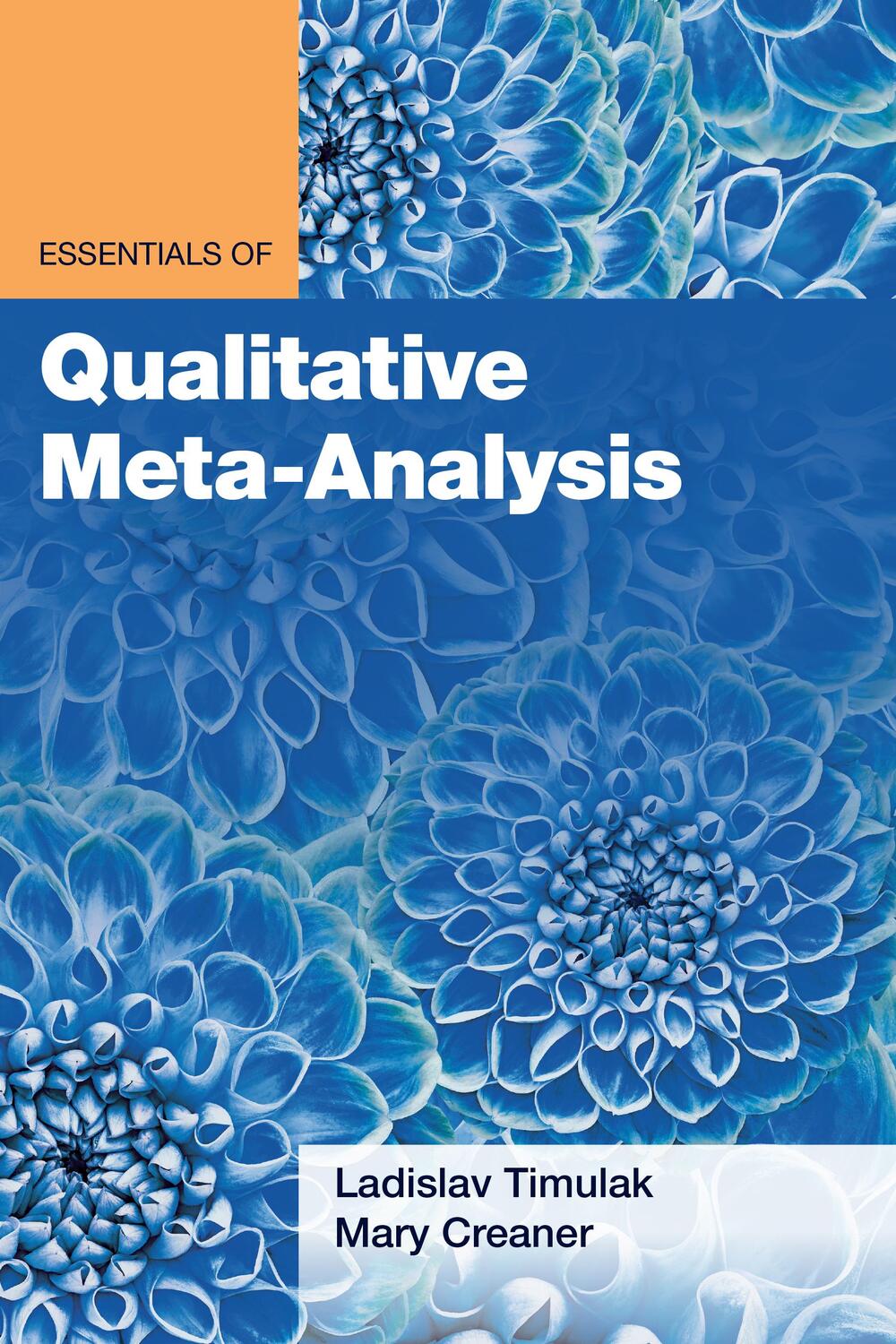 Cover: 9781433838484 | Essentials of Qualitative Meta-Analysis | Ladislav Timulak (u. a.)