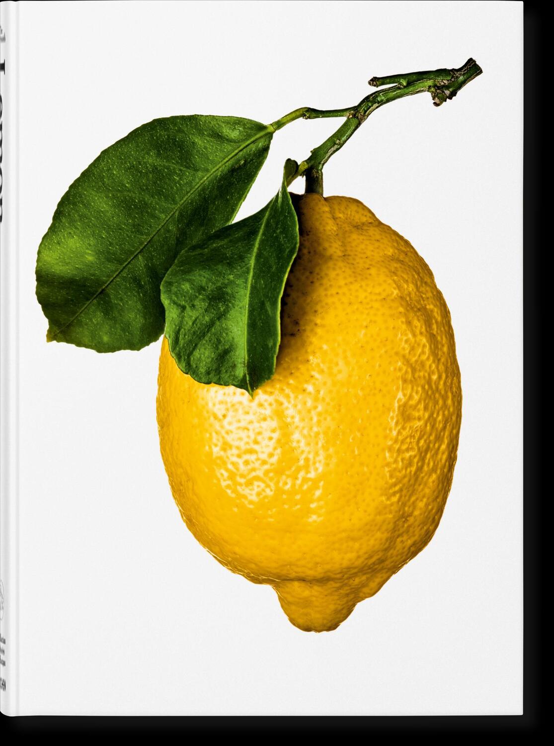 Cover: 9783836585903 | The Gourmand's Lemon. A Collection of Stories and Recipes | Pellerin