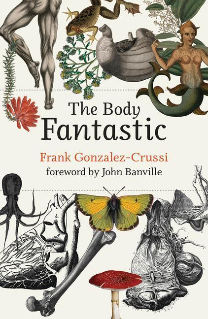 Cover: 9780262045889 | The Body Fantastic | Frank Gonzalez-Crussi | Buch | Englisch | 2021