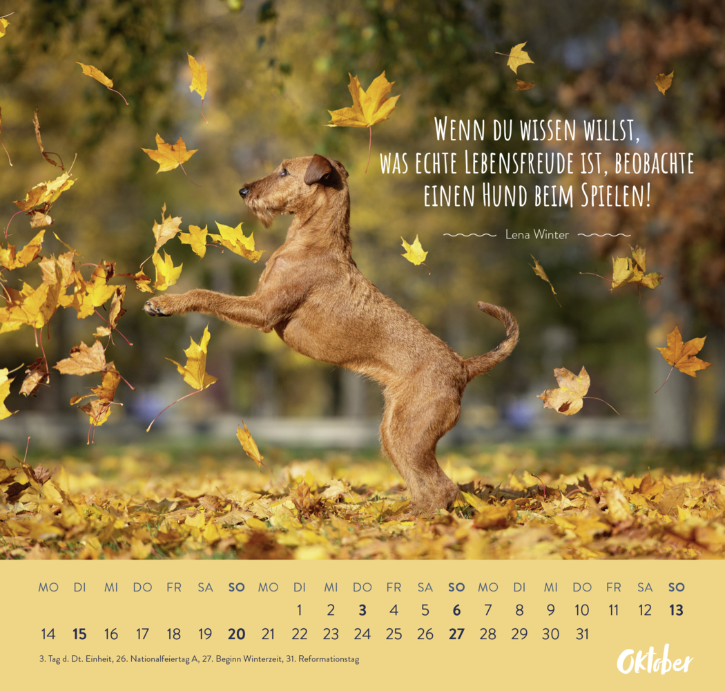 Bild: 4036442010556 | Wandkalender 2024: Für Hundefreunde | Groh Verlag | Kalender | 12 S.
