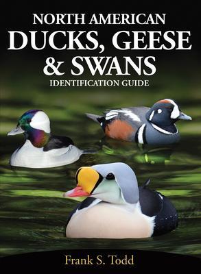 Cover: 9780888390936 | North American Ducks, Geese and Swans | Identification Guide | Todd