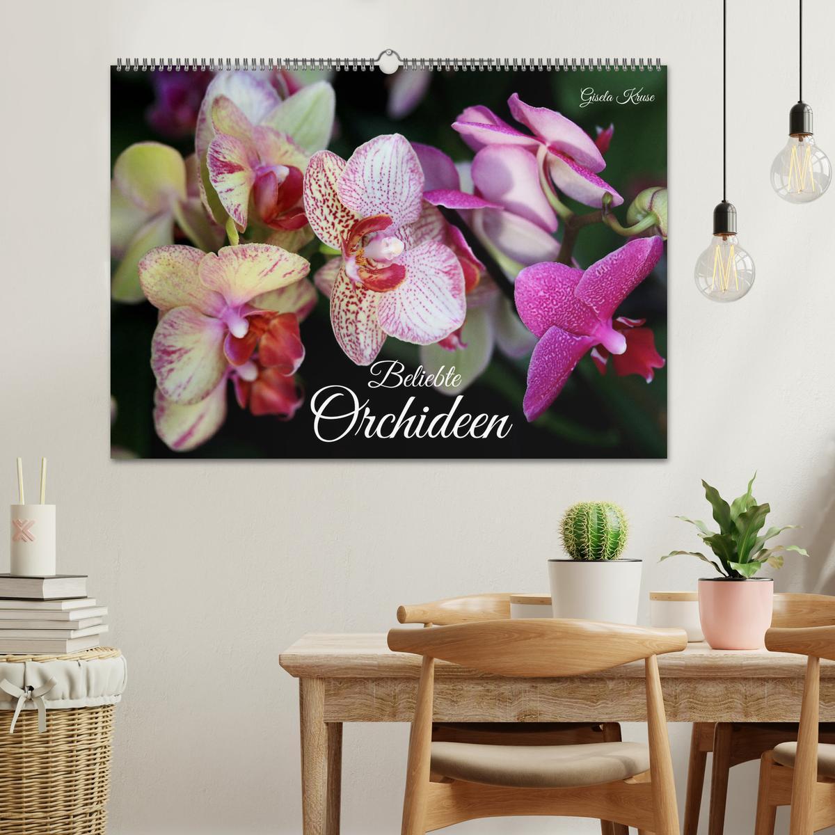 Bild: 9783383765100 | Beliebte Orchideen (Wandkalender 2025 DIN A2 quer), CALVENDO...