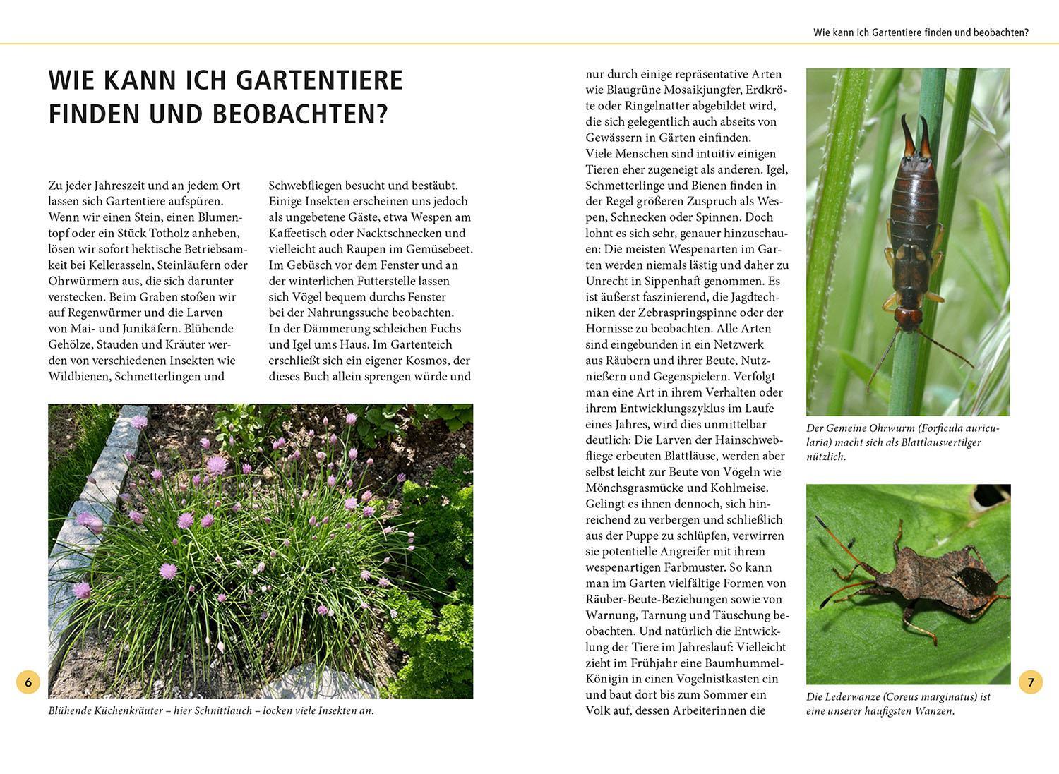 Bild: 9783440177761 | Gartentiere lebensgroß | Hannes Petrischak | Taschenbuch | 112 S.