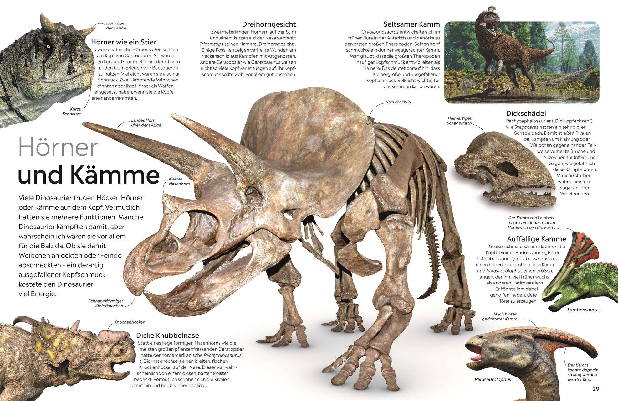 Bild: 9783831049042 | memo Wissen. Dinosaurier | David Lambert | Buch | 72 S. | Deutsch