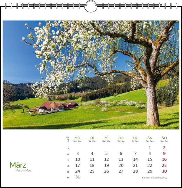 Bild: 9783861924135 | Schwarzwald 2025 | Postkarten-Tischkalender | Clemens Emmler | 13 S.