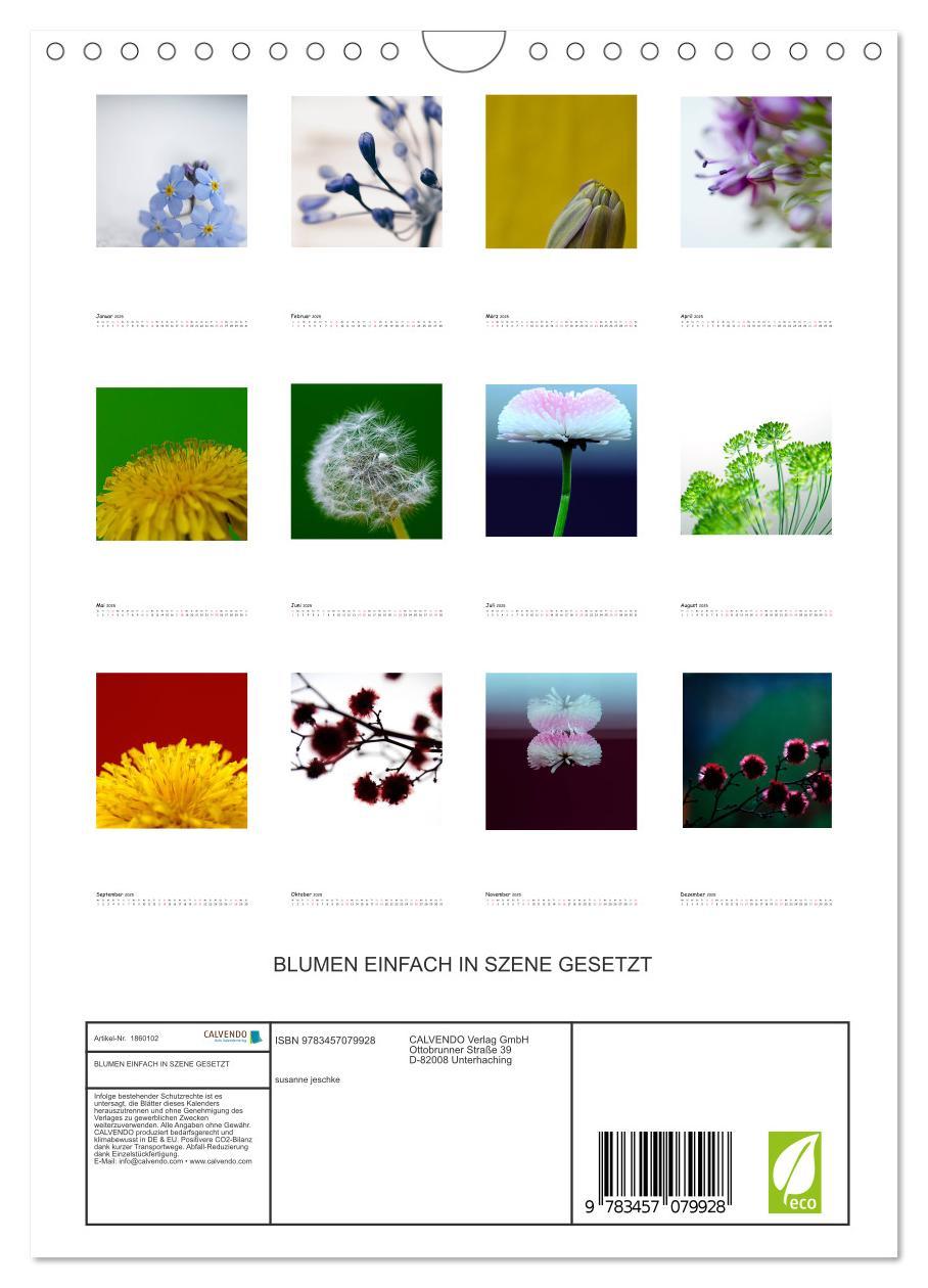 Bild: 9783457079928 | BLUMEN EINFACH IN SZENE GESETZT (Wandkalender 2025 DIN A4 hoch),...