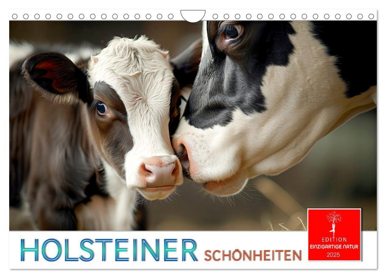 Cover: 9783457162705 | Holsteiner Schönheiten (Wandkalender 2025 DIN A4 quer), CALVENDO...