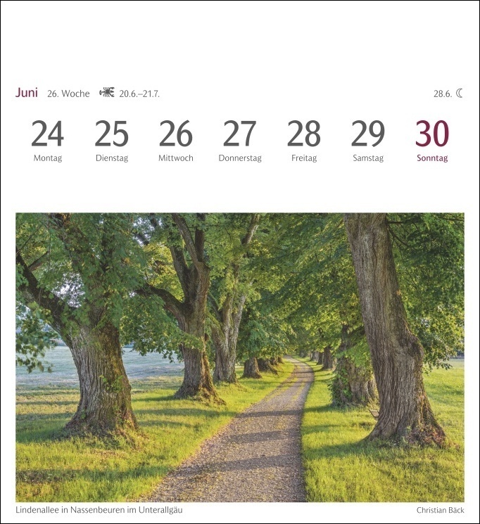 Bild: 9783840031144 | Bäume Postkartenkalender 2024. Fotokalender mit 53 Postkarten zum...