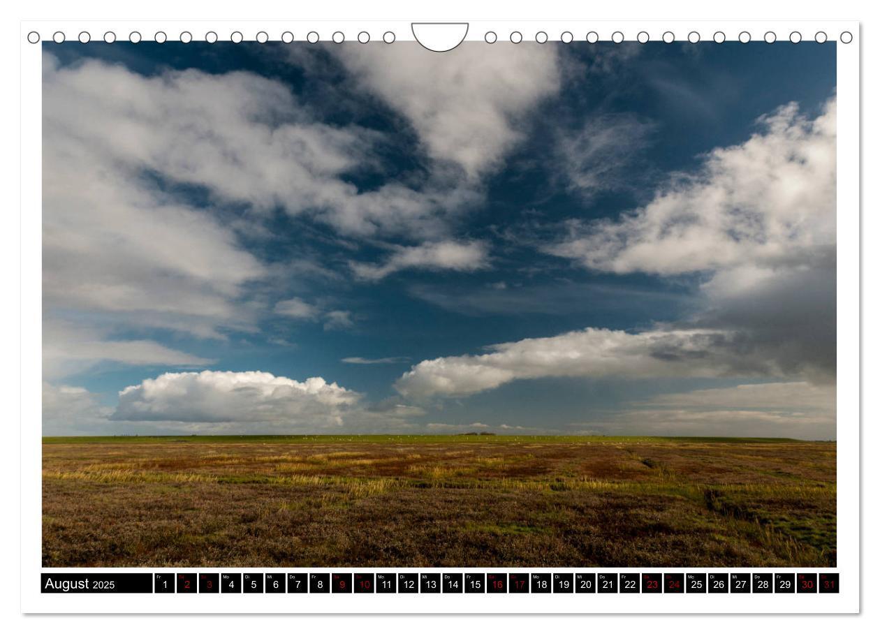 Bild: 9783435724260 | St. Peter-Ording - Natur pur (Wandkalender 2025 DIN A4 quer),...