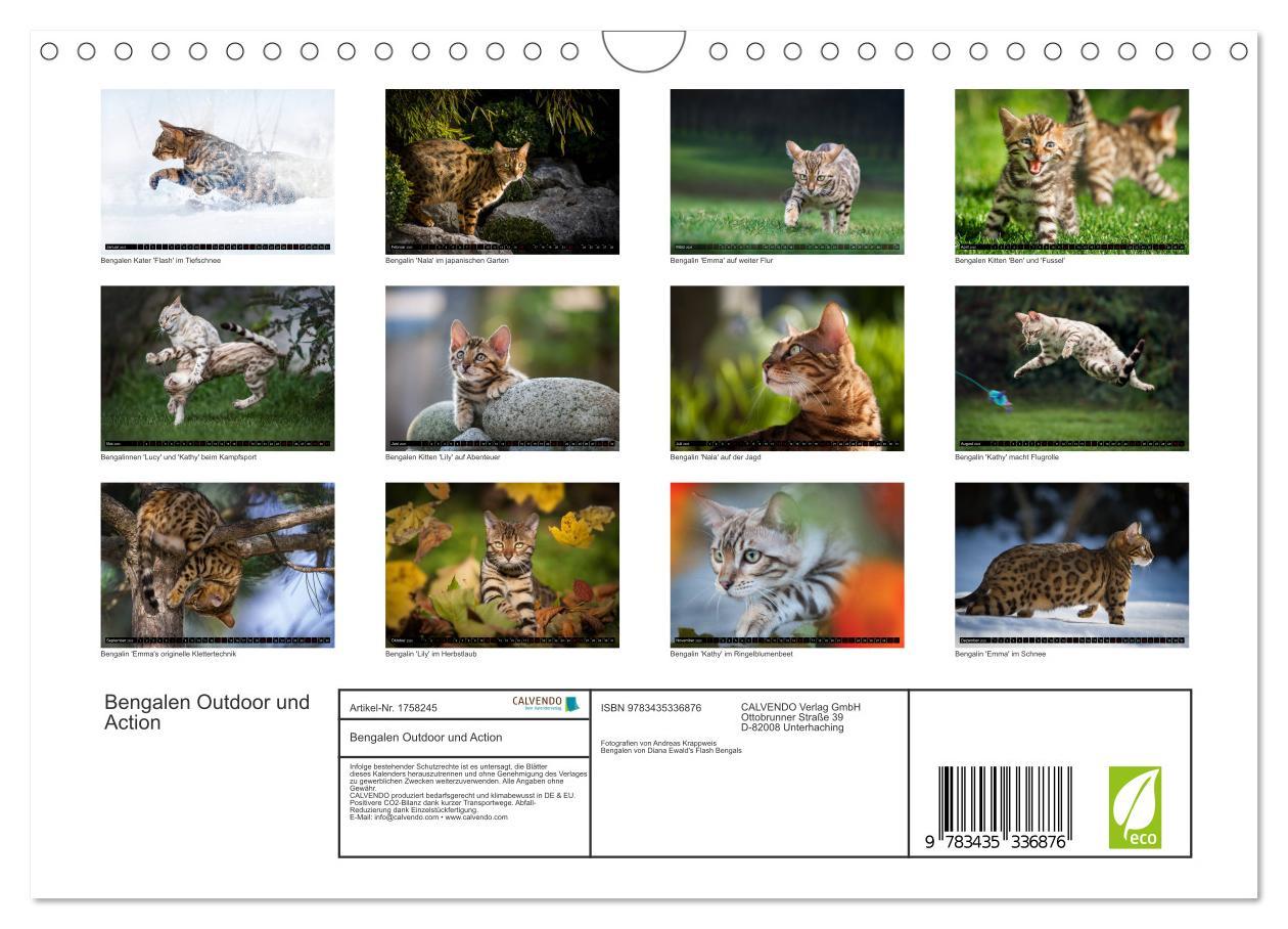 Bild: 9783435336876 | Bengalen Outdoor und Action (Wandkalender 2025 DIN A4 quer),...