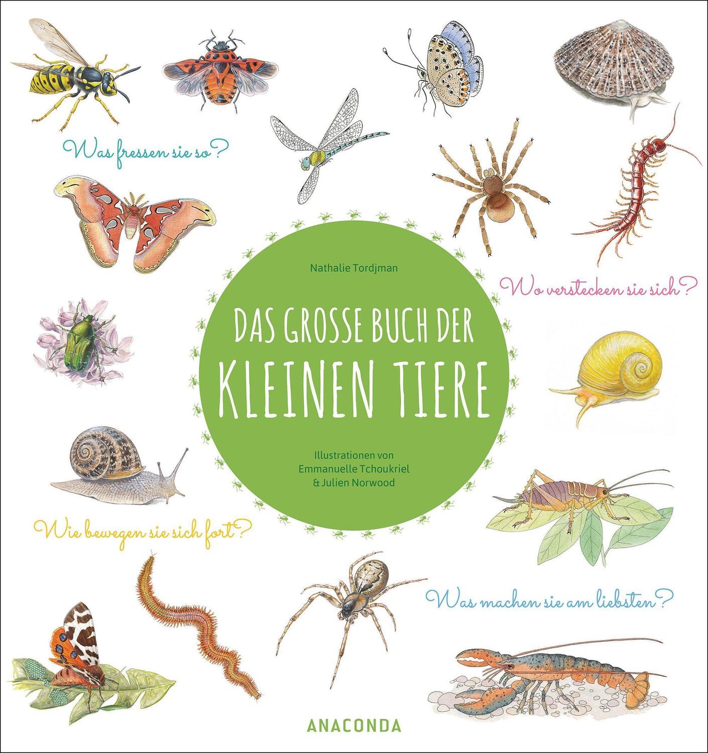 Cover: 9783730610565 | Das große Buch der kleinen Tiere | Nathalie Tordjman | Buch | 72 S.