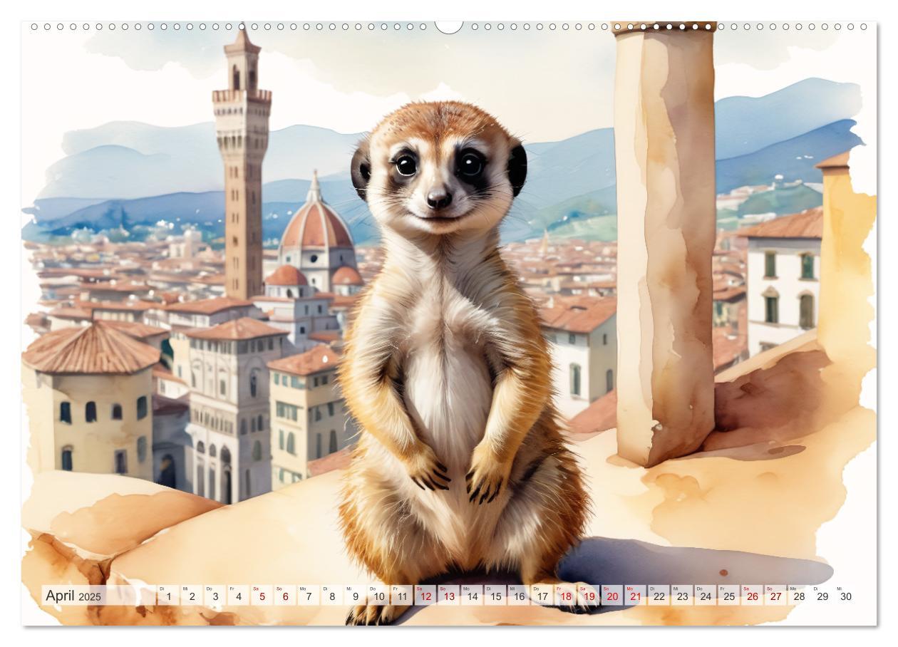 Bild: 9783383807664 | Erdmännchen in Italien (Wandkalender 2025 DIN A2 quer), CALVENDO...