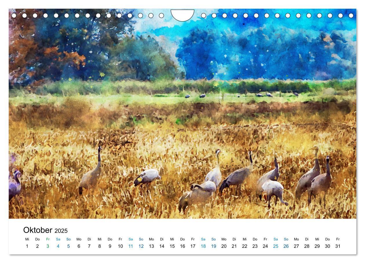 Bild: 9783435143474 | Havelland in Aquarell (Wandkalender 2025 DIN A4 quer), CALVENDO...