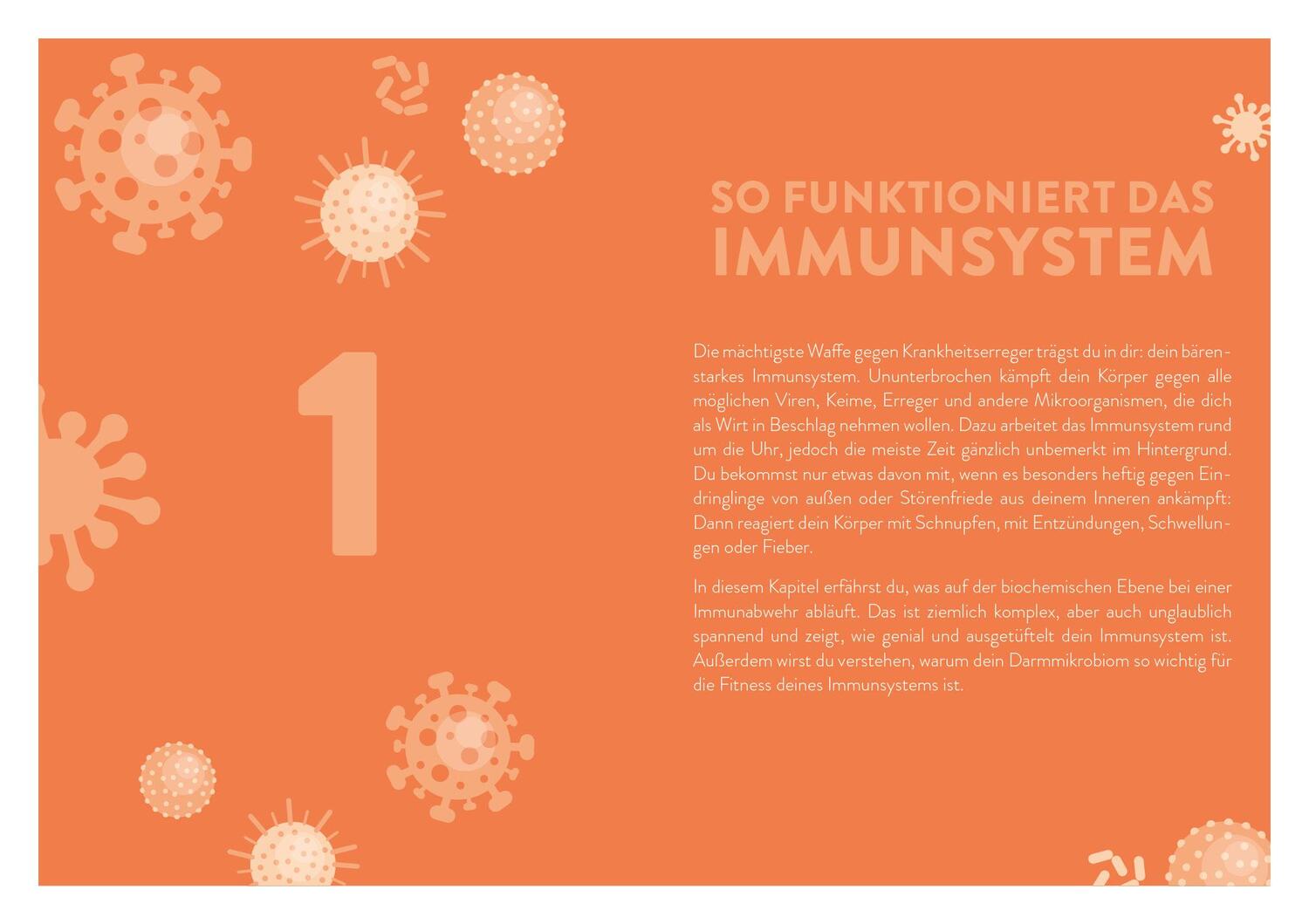 Bild: 9783742318312 | Immunpower | Friederike Feil | Taschenbuch | 4-farbig | Deutsch | 2021