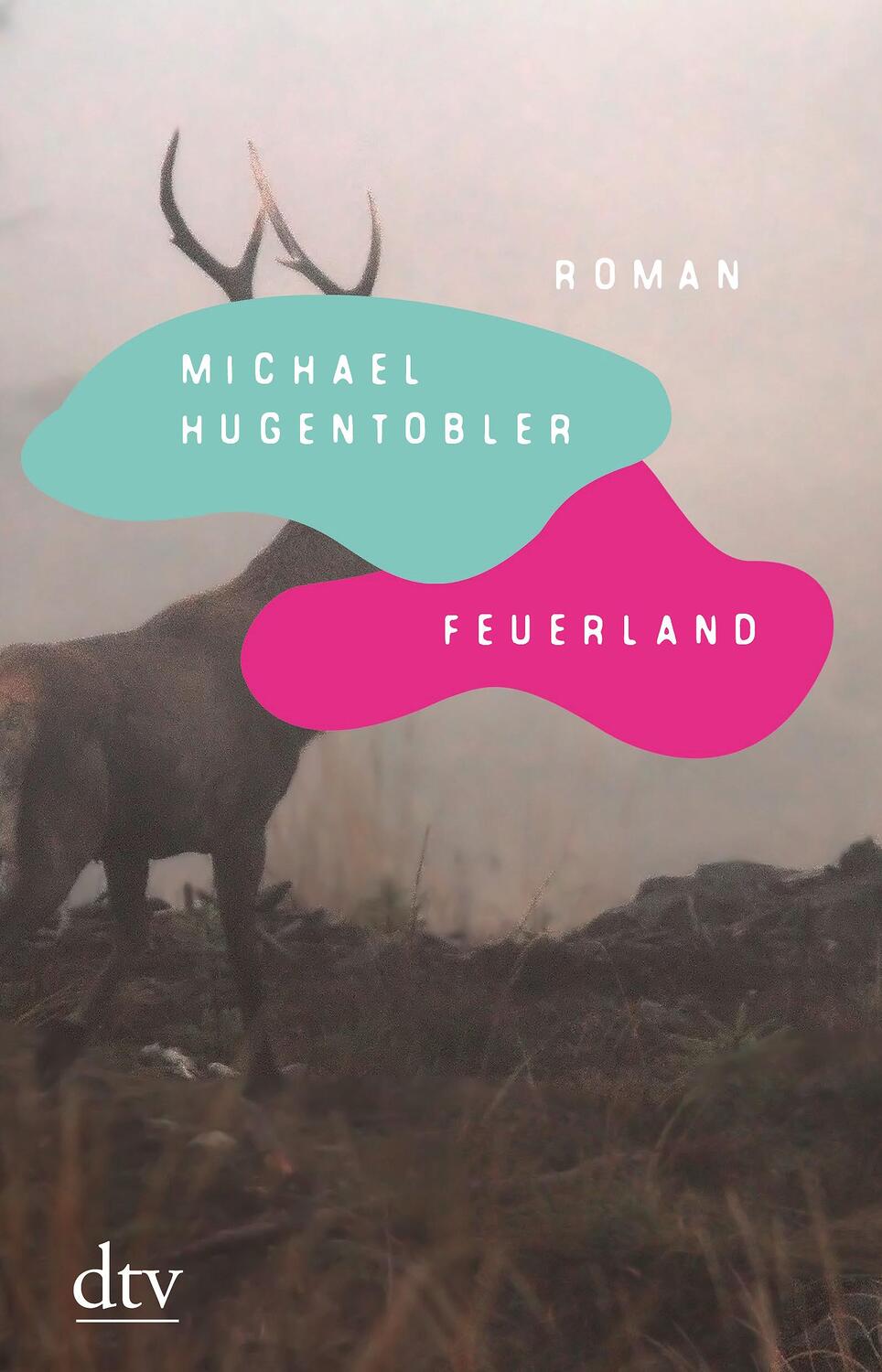 Cover: 9783423282697 | Feuerland | Roman | Michael Hugentobler | Buch | Deutsch | 2021