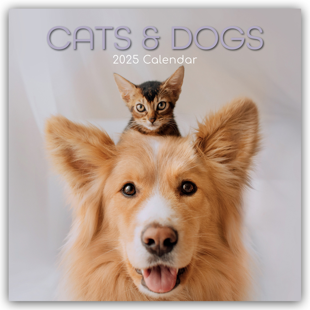 Cover: 9781837889730 | Cats and Dogs - Katzen und Hunde 2025 - 16-Monatskalender | Ltd | 2025