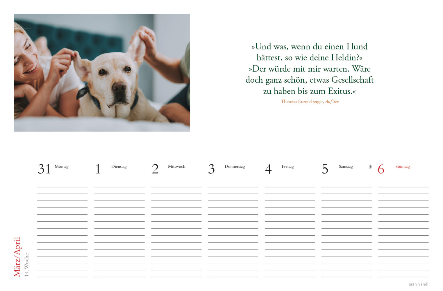 Bild: 9783747205709 | Tischkalender Hunde 2025 | Tischkalender | Kalender | 53 S. | Deutsch