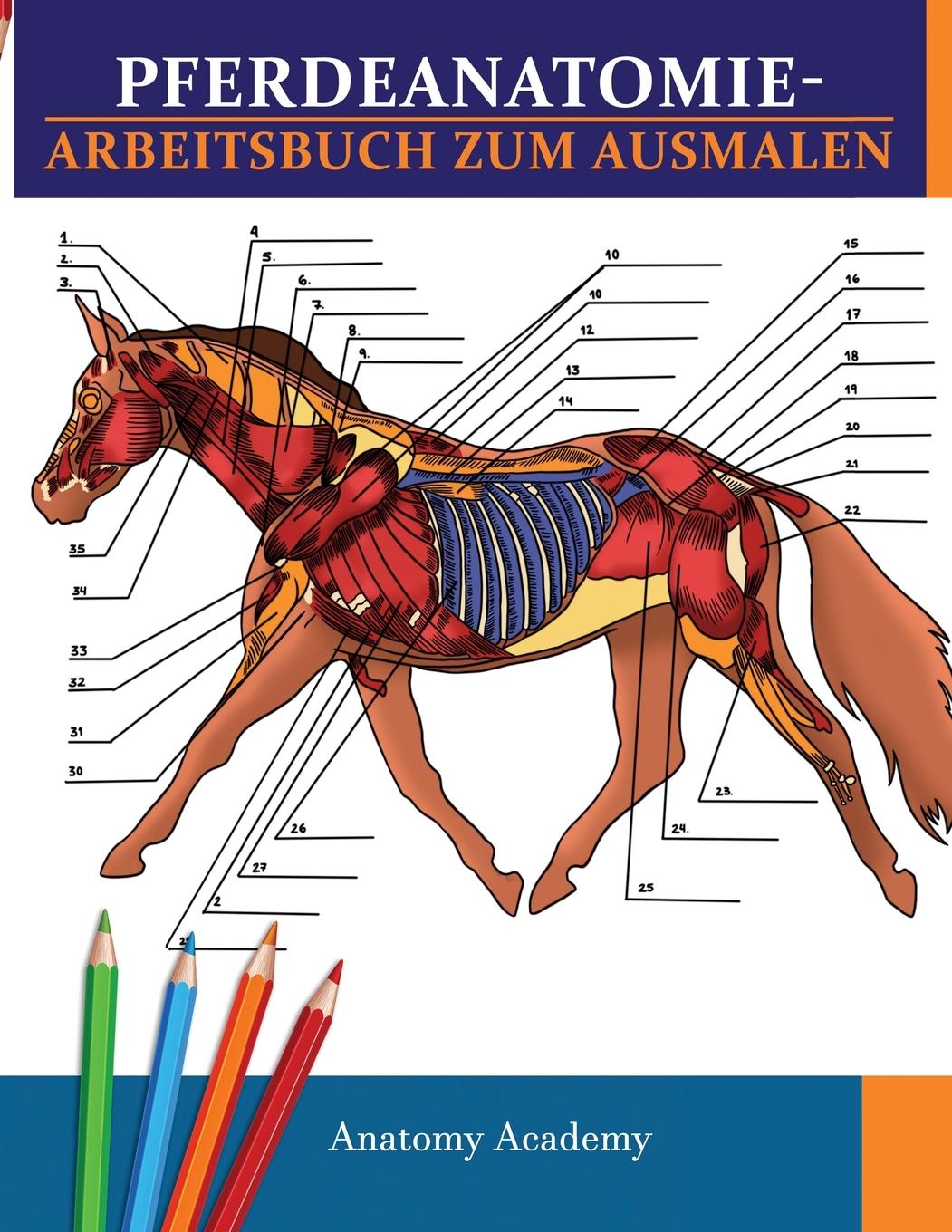 Cover: 9781804210949 | Pferdeanatomie-Arbeitsbuch zum Ausmalen | Anatomy Academy | Buch