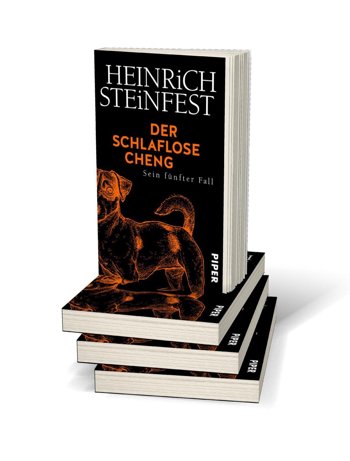 Bild: 9783492316866 | Der schlaflose Cheng | Sein fünfter Fall | Heinrich Steinfest | Buch