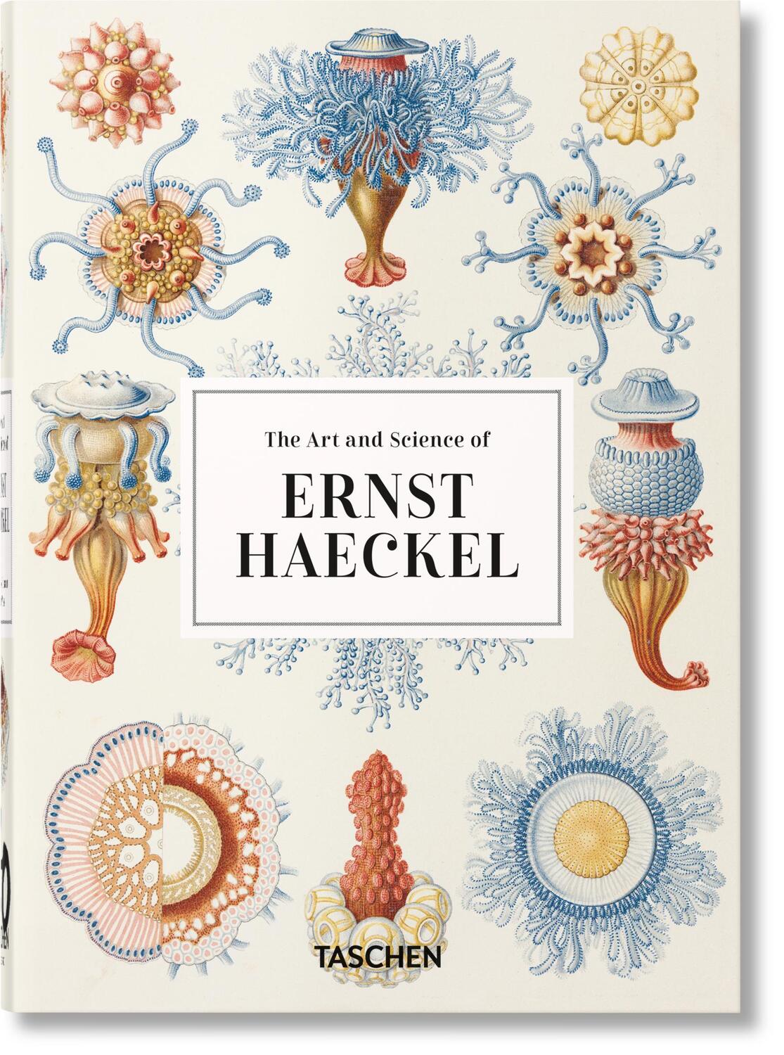 Cover: 9783836584265 | Ernst Haeckel. Kunst und Wissenschaft. 40th Ed. | Julia Voss (u. a.)