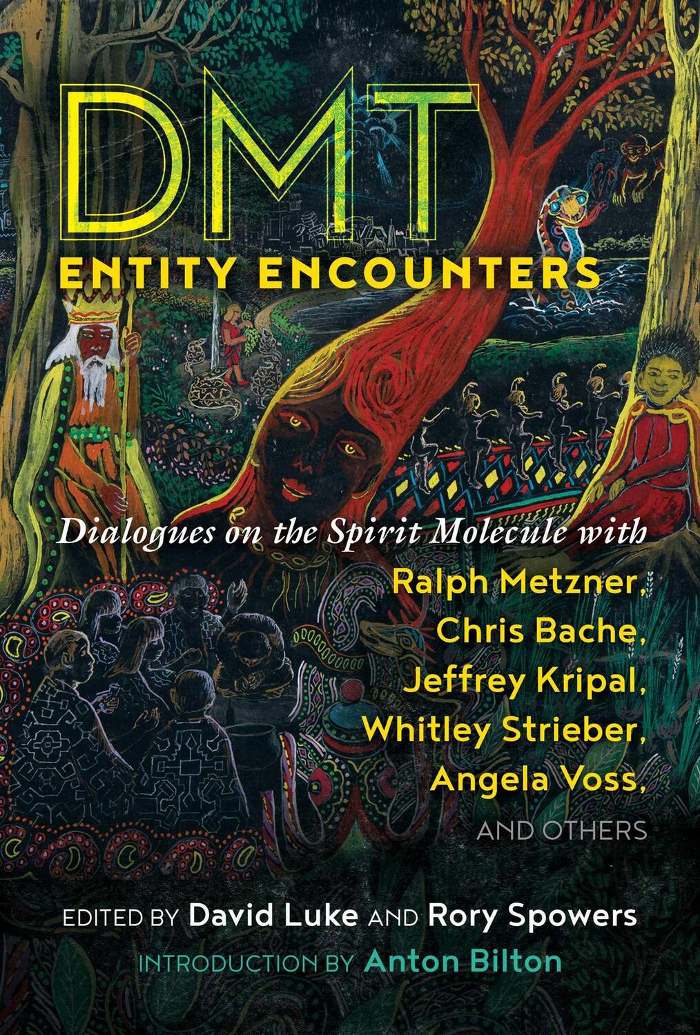 Cover: 9781644112335 | DMT Entity Encounters | David Luke (u. a.) | Taschenbuch | 2022