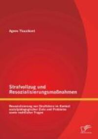Cover: 9783842857865 | Strafvollzug und Resozialisierungsmaßnahmen | Agnes Tluczikont | Buch