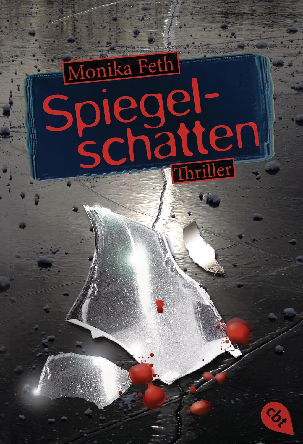 Cover: 9783570309223 | Spiegelschatten | Monika Feth | Taschenbuch | Romy-Thriller | Deutsch