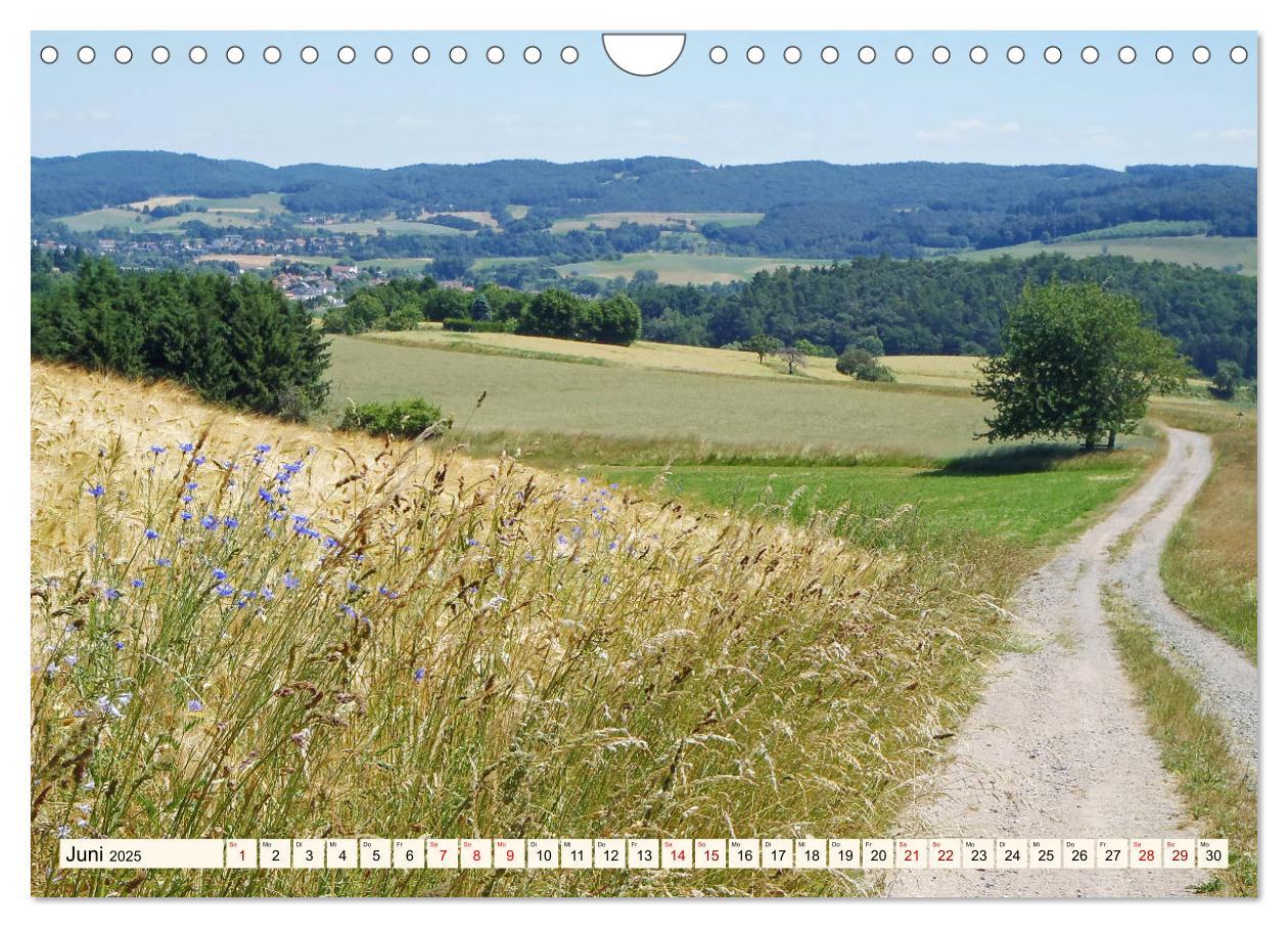 Bild: 9783435222698 | Viele Wege - ein Ziel Wandern im Odenwald (Wandkalender 2025 DIN A4...