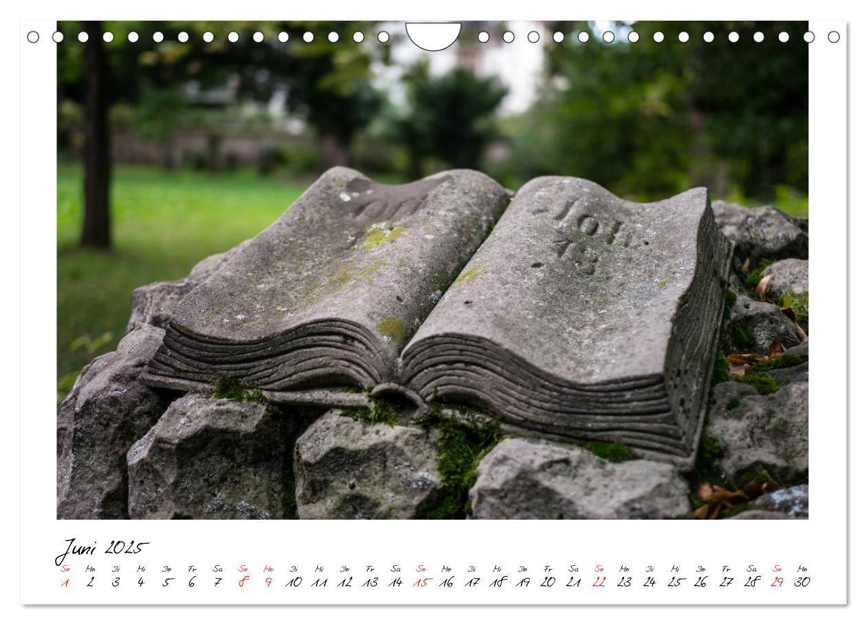 Bild: 9783435712892 | Alter Friedhof Freiburg (Wandkalender 2025 DIN A4 quer), CALVENDO...