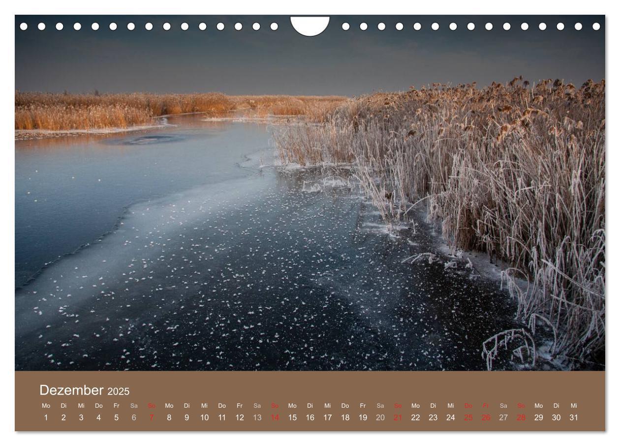 Bild: 9783435517169 | Der Federsee - Vogelparadies in Oberschwaben (Wandkalender 2025 DIN...