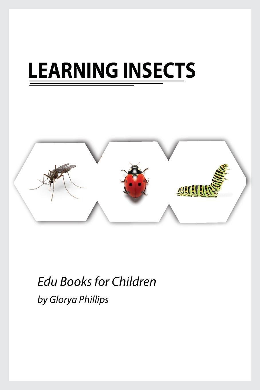 Cover: 9782670275421 | Learning Insects | Glorya Phillips | Taschenbuch | Paperback | 2021