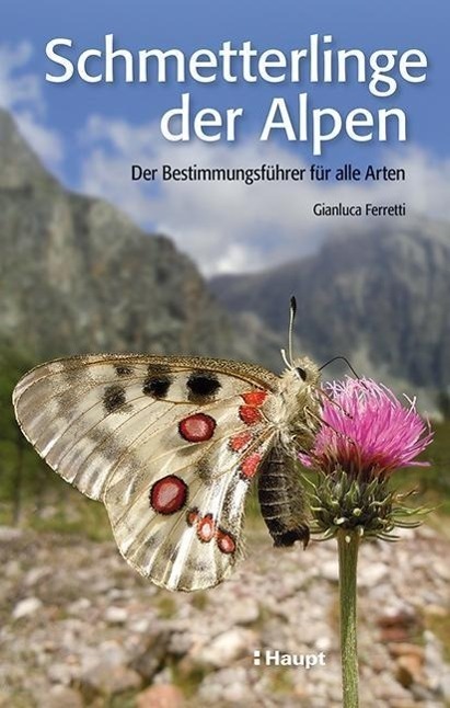 Cover: 9783258078502 | Schmetterlinge der Alpen | Der Bestimmungsführer für alle Arten | Buch